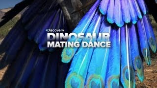 Crazy Dinosaur Mating Dance [upl. by Assinna]