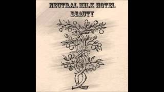 Neutral Milk Hotel  Beauty Full Album [upl. by Graves]