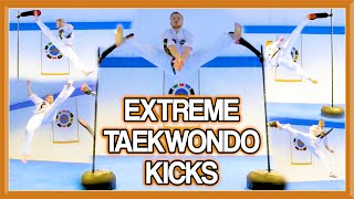 Taekwondo Kicking Sampler  Advanced Kicks amp Flip Kicks  GNT [upl. by Paco]