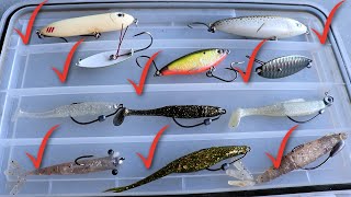 Everything You Need To Bring On Your Inshore Saltwater Fishing Trip [upl. by Hanzelin]