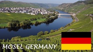 Mosel Wine tourism German Riesling Wine Moselle Valley Germany wines DeutschlandTourismus Travel [upl. by Arnulfo]