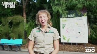 Virtual Tour of Melbourne Zoo [upl. by Fogg969]