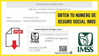 Cómo OBTENER mi NSS Número de Seguro Social RÁPIDO Y SIN FILAS  IMSS 2021 TARJETA de NSS [upl. by Bacchus]