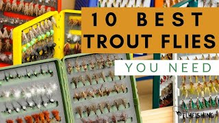 10 Best Trout Flies For Fly Fishing [upl. by Oglesby596]