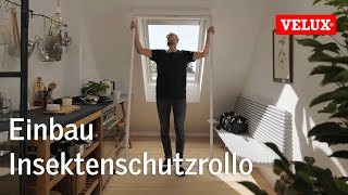 Einbau Insektenschutzrollo ZIL  VELUX [upl. by Dorice]