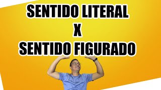 SENTIDO LITERAL X SENTIDO FIGURADO [upl. by Benson73]