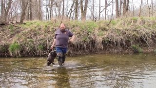 beaver trapping for beginners  Beaver Bandit [upl. by Apoor]