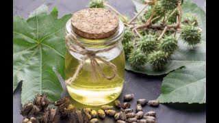 The pain relieving power of Castor Oil [upl. by Bernt]