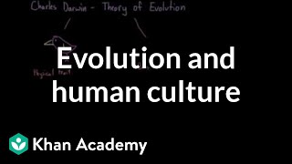 Evolution and human culture  Society and Culture  MCAT  Khan Academy [upl. by Genna]