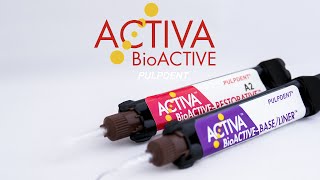 PULPDENT  ACTIVA BioACTIVE [upl. by Remos]