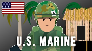 US MARINE Vietnam war [upl. by Llehcam]