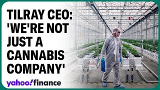 Tilray CEO Were a consumer goods company [upl. by Orlov307]