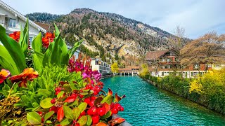 Spring has arrived in Interlaken 🇨🇭 Switzerland 4K [upl. by Diarmit563]