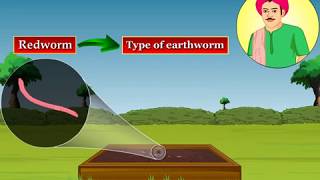 Vermicomposting  Macmillan Education India [upl. by Ekusoyr245]