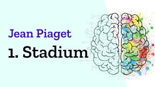 Sensomotorisches Stadium der kognitiven Entwicklung nach Jean Piaget Erklärung des Stufenmodells [upl. by Elleyoj]