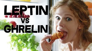 Leptin and Ghrelin  Hunger Hormones [upl. by Nilram436]