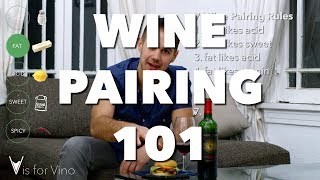 Wine Pairing 101  Super Easy Food and Wine Pairing from V is for Vino [upl. by Ranite]