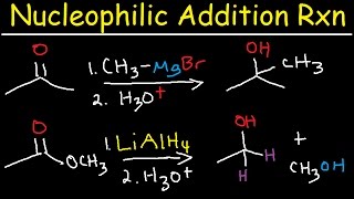 Nucleophilic Addition Reaction Mechanism Grignard Reagent NaBH4 LiAlH4 Imine Enamine Reduction [upl. by Ellette]