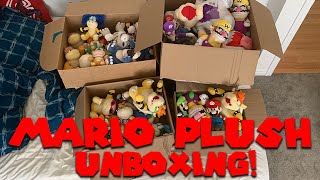 Unboxing My Entire Mario Plush Collection  Super Mario Richie [upl. by Burman]