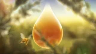 Manuka honey every precious drop [upl. by Lletnahs]