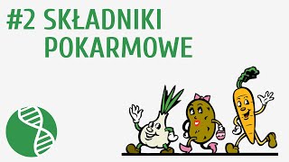 Składniki pokarmowe 2  Odżywianie [upl. by Karalee379]