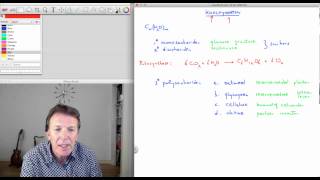 71 Koolhydraten  scheikunde  Scheikundelessennl [upl. by Allin852]