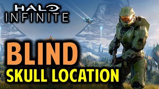 Blind Skull Location  Halo Infinite Collectibles Guide [upl. by Jolynn151]