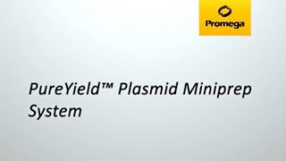 PureYield™ Plasmid Miniprep System [upl. by Aitnecserc898]