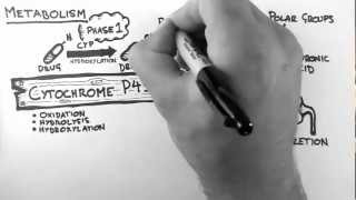 Pharmacokinetics 4  Metabolism [upl. by Nathanil]